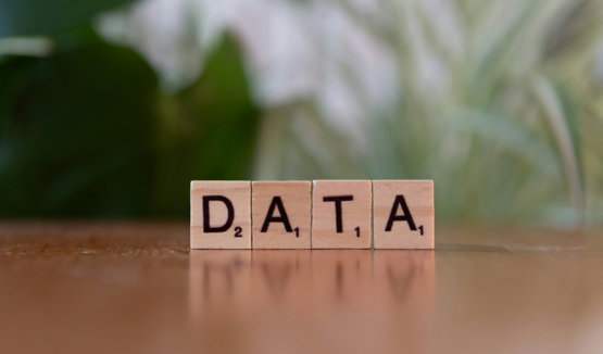 A wooden block spelling data on a table